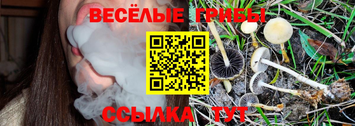 Псилоцибиновые грибы мухоморы Ханты-Мансийск